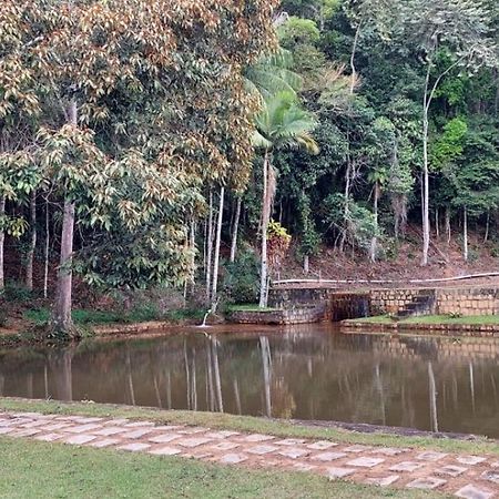 Cabanas Eco Das Montanhas Domingos Martins Ngoại thất bức ảnh