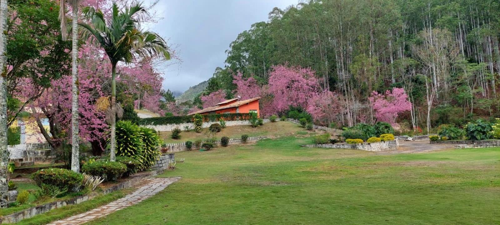 Cabanas Eco Das Montanhas Domingos Martins Ngoại thất bức ảnh